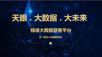 精准营销大数据PM 定义、效果评估与合作模式全解析