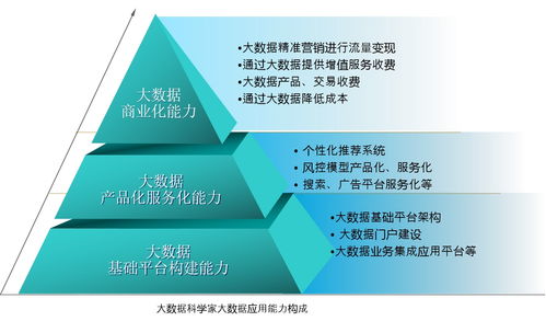 迈向大数据科学家 从技能到服务的全面指南