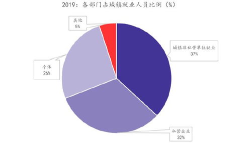 大数据揭示真实就业图景 从宏观趋势到个体选择